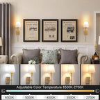 Rechargeable Cordless Wall Light (Indoor/Outdoor)