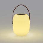 Rechargeable RGB & White Waterproof Table Lamp (Remote Control)