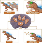 Remote Control Dinosaur Walking & Roaring LED Lights