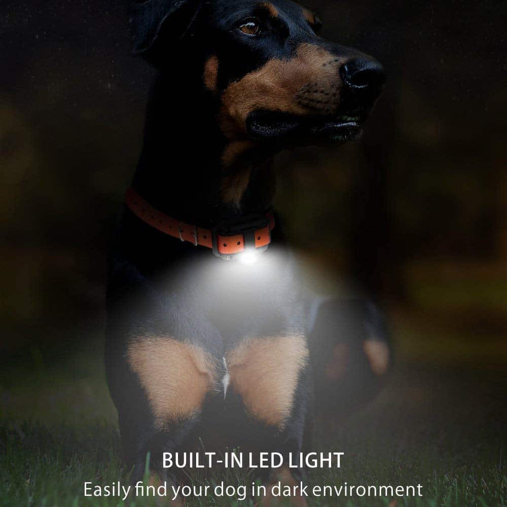 Remote Dog Training Collar 0.5 Mile Range Adjustable Intensity