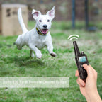 Remote Dog Training Collar 0.5 Mile Range Adjustable Intensity
