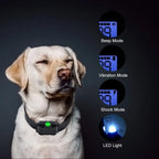 Remote Dog Training Collar 0.5 Mile Range Waterproof Receiver