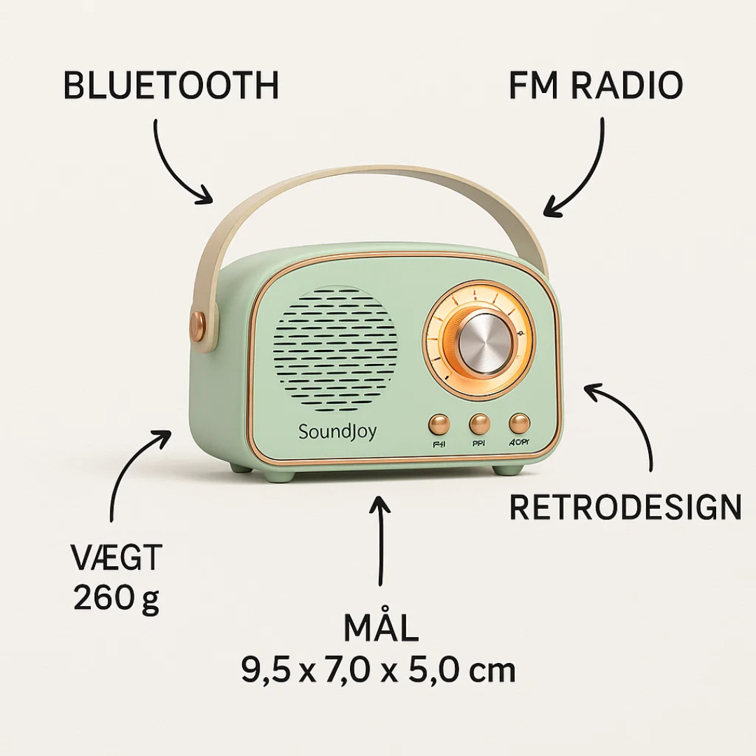 Retro Bluetooth & FM Portable Speaker (8-Hour Battery)