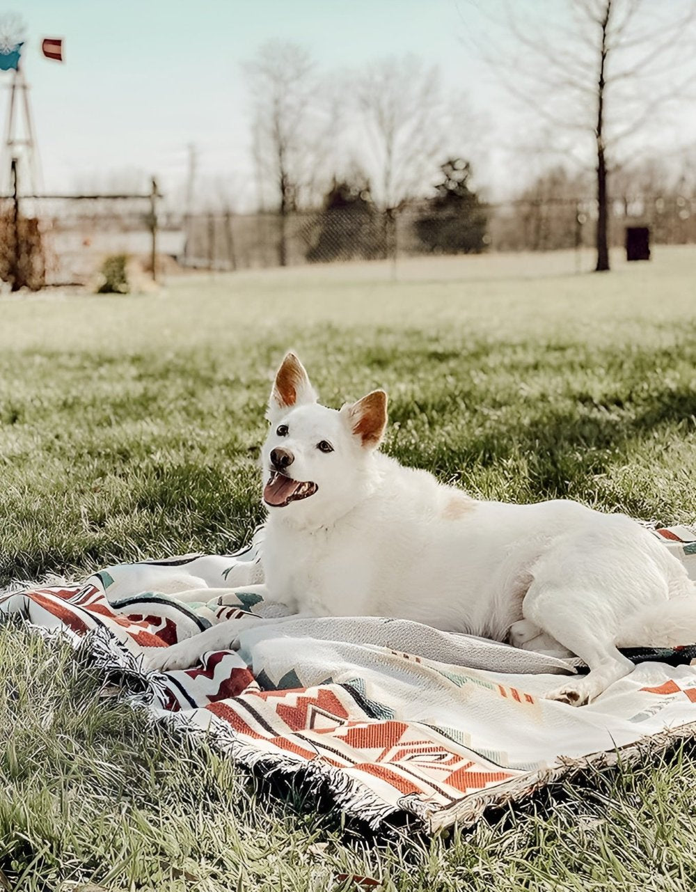 Reversible Jacquard All-Season Picnic Mat (Machine Washable)