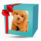 Robot Dog Toy Voice & Touch Responsive