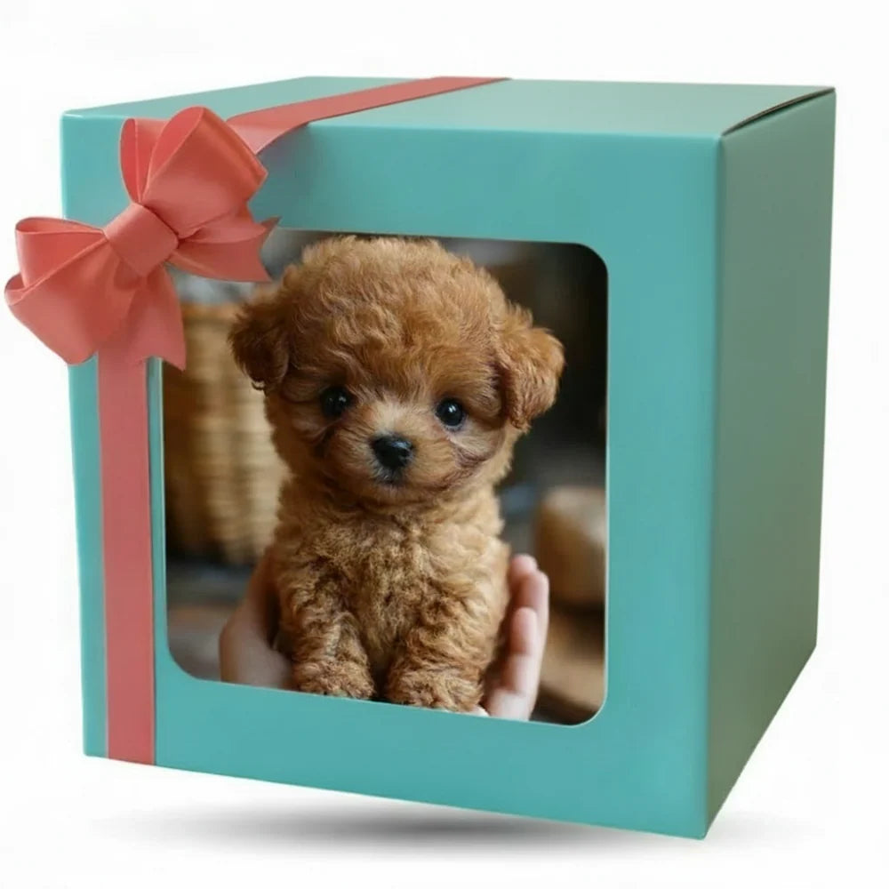 Robot Dog Toy Voice & Touch Responsive
