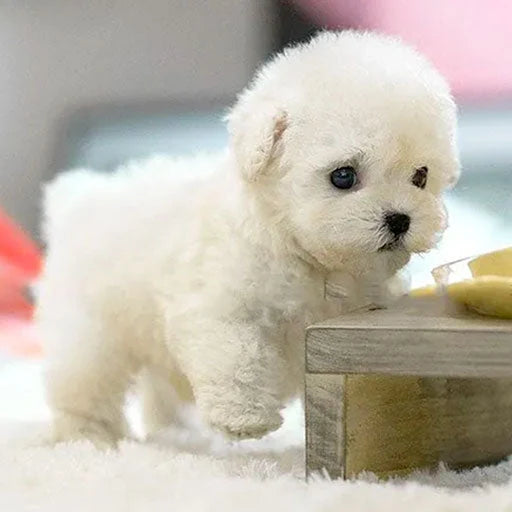 Robot Puppy Lifelike Interaction Touch, Sound & Voice Responsive