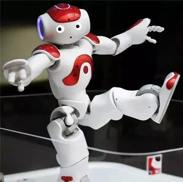 Robot Toy Motion-Sensing Dance & Music Remote USB Rechargeable