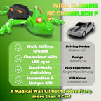 Robot Toy Wall-Climbing USB Rechargeable & Wireless Remote