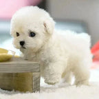 Robotic Puppy Toy Lifelike Movement Voice Responsive