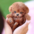 Robotic Puppy Toy Lifelike Movement Voice Responsive