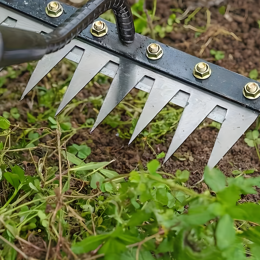 Robust Steel Ergonomic Weed Rake (5–7 Teeth)