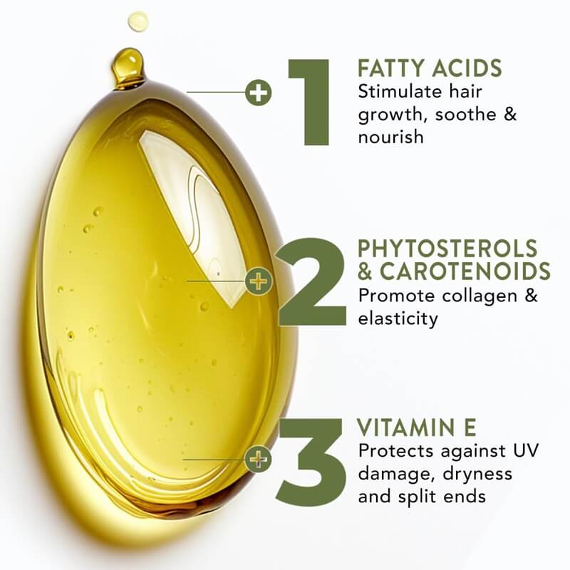 Scalp Treatment Oil Organic Batana Vitamin E & Rosemary