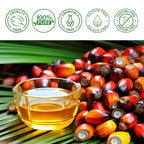Scalp Treatment Oil Organic Batana Vitamin E & Rosemary