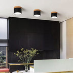 Scandinavian Color-Changing LED Flush Mount Ceiling Light