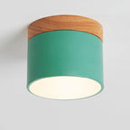 Scandinavian Color-Changing LED Flush Mount Ceiling Light