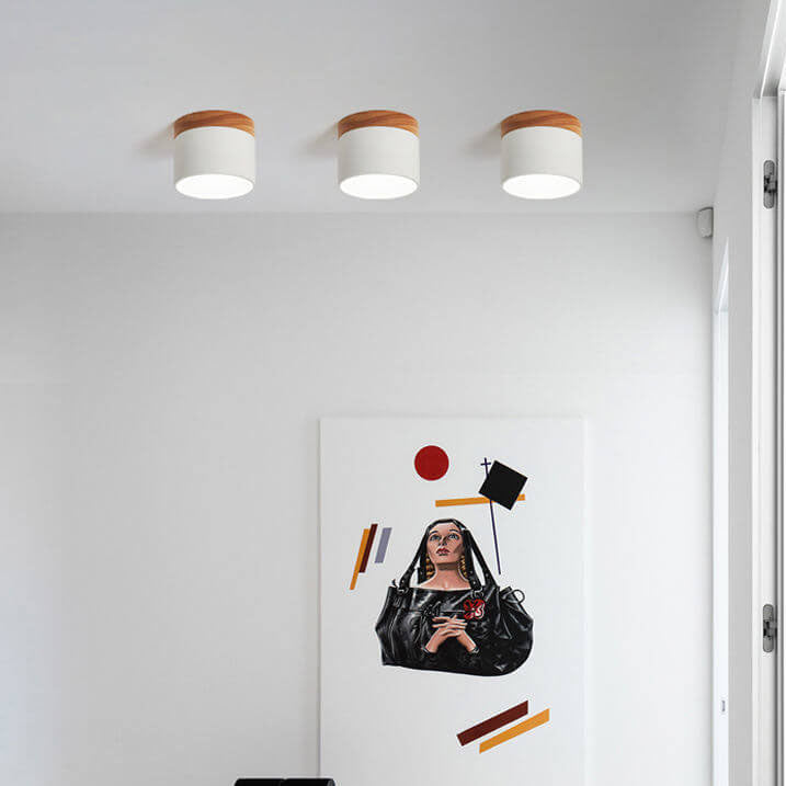 Scandinavian Color-Changing LED Flush Mount Ceiling Light