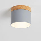 Scandinavian Color-Changing LED Flush Mount Ceiling Light