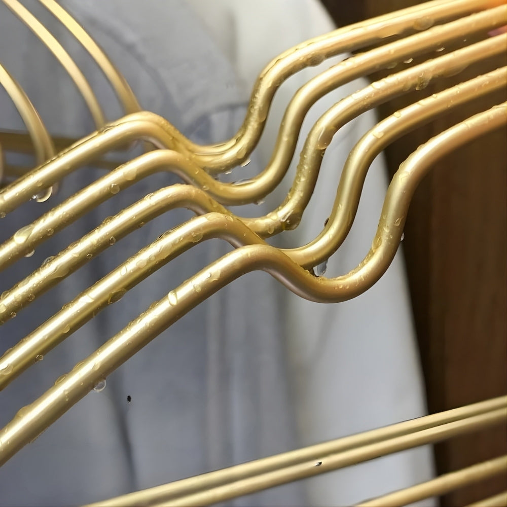 Seamless Polished Aluminum Anti-Slip Clothes Hangers (Set of 10)