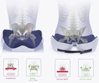 Seat Cushion Memory Foam Orthopedic Coccyx Cutout