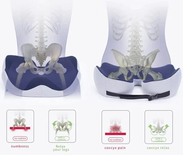 Seat Cushion Memory Foam Orthopedic Coccyx Cutout