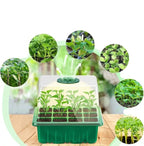 Seed Starter Tray Full-Spectrum Light Raised Dome Durable PVC