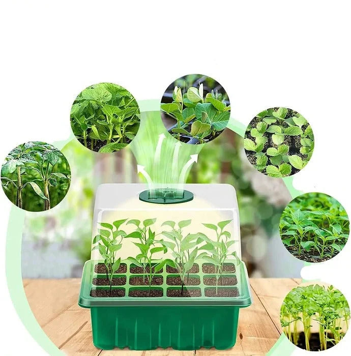 Seed Starter Tray Full-Spectrum Light Raised Dome Durable PVC