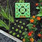 Seed Template Pre-Marked Grid Includes Planting Guide