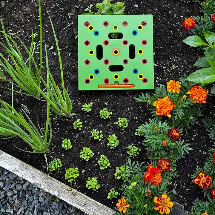 Seed Template Pre-Marked Grid Includes Planting Guide