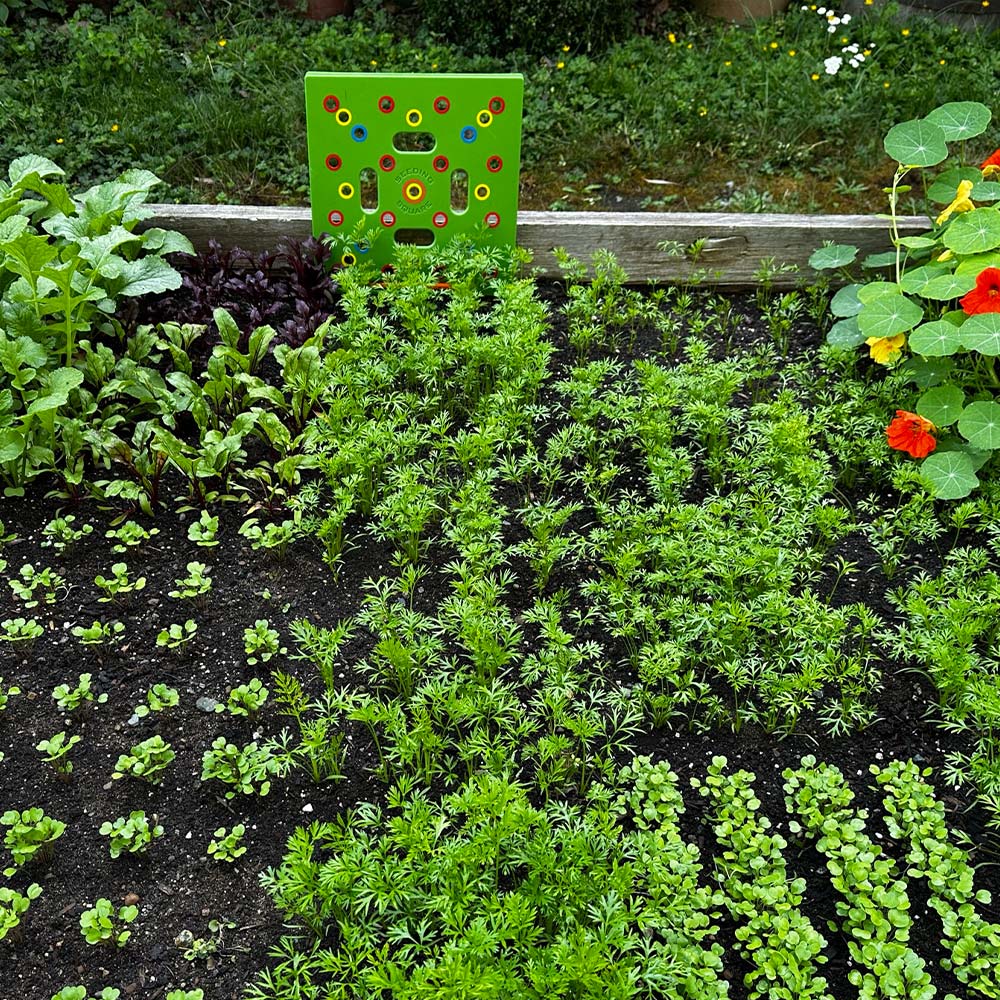 Seed Template Pre-Marked Grid Includes Planting Guide