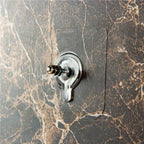 Self-Adhesive Wall Hooks Stainless Steel No-Trace Adhesive 22 lb