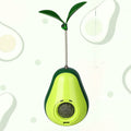 Self-Grooming Cat Toy Catnip Feeder & Corner Comb
