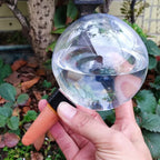 Self-Watering Globes Stepless Watering Decorative 2 Or 4 Pack