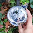 Self-Watering Globes Stepless Watering Decorative 2 Or 4 Pack