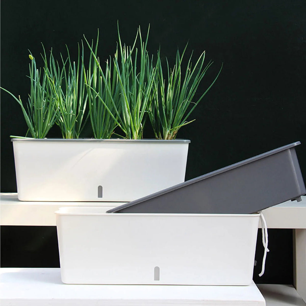Self-Watering Planter Reservoir & Water Level Indicator