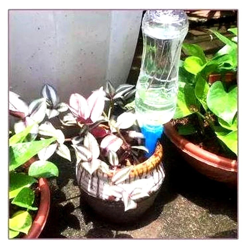 Self-Watering Spikes Adjustable Flow 12 Pack