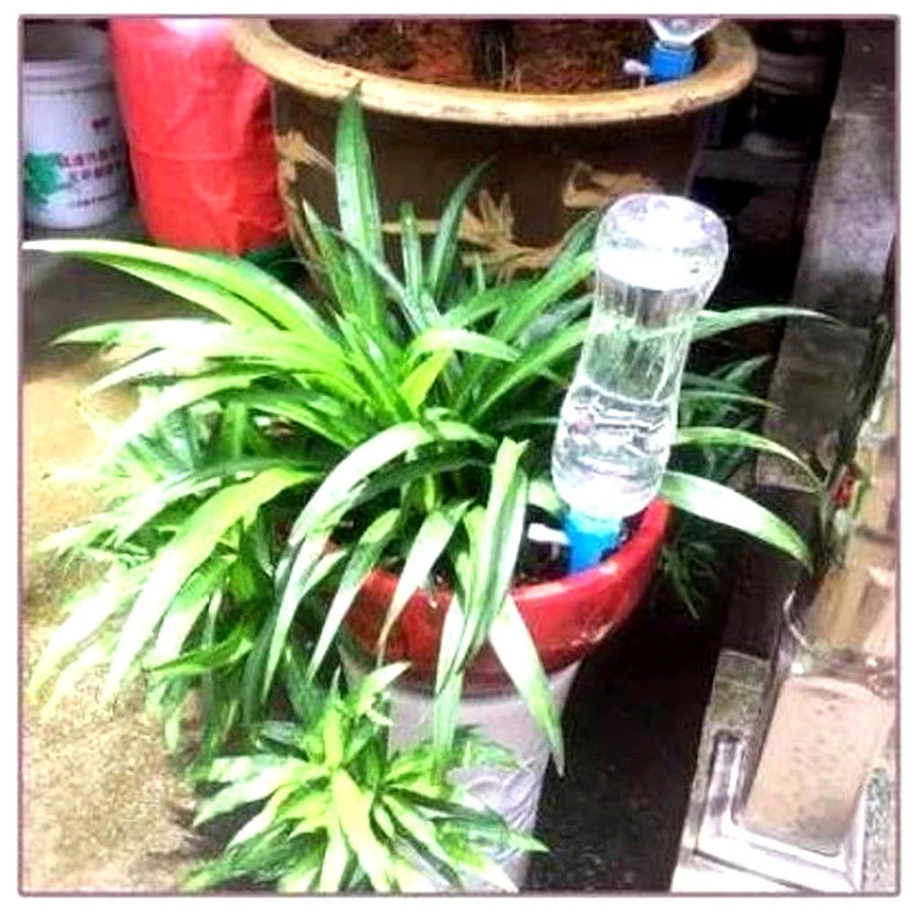 Self-Watering Spikes Adjustable Flow 12 Pack