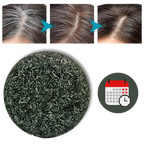 Shampoo Bar Gradual Darkening Plant Based & Sulfate Free