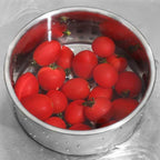 Sink Strainer Stainless Steel Fine Mesh