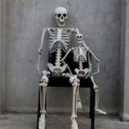 Skeleton 65 Inch Posable Weather-Resistant