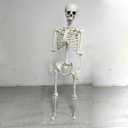 Skeleton 65 Inch Posable Weather-Resistant