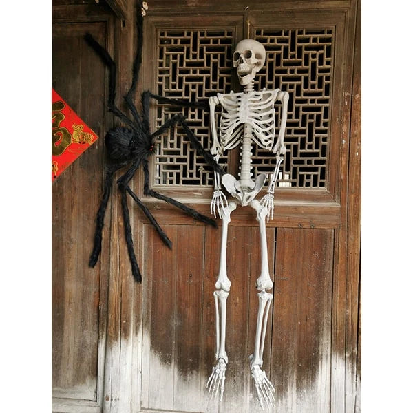 Skeleton Decoration Articulated Joints & Movable Jaw