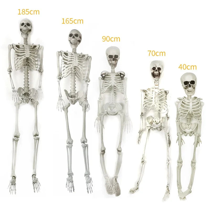 Skeleton Decoration Articulated Joints & Movable Jaw