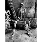 Skeleton Decoration Articulated Joints & Movable Jaw