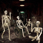 Skeleton Decoration Life-Size 35.4 In 12 Adjustable Joints