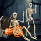 Skeleton Decoration Life-Size 35.4 In 12 Adjustable Joints