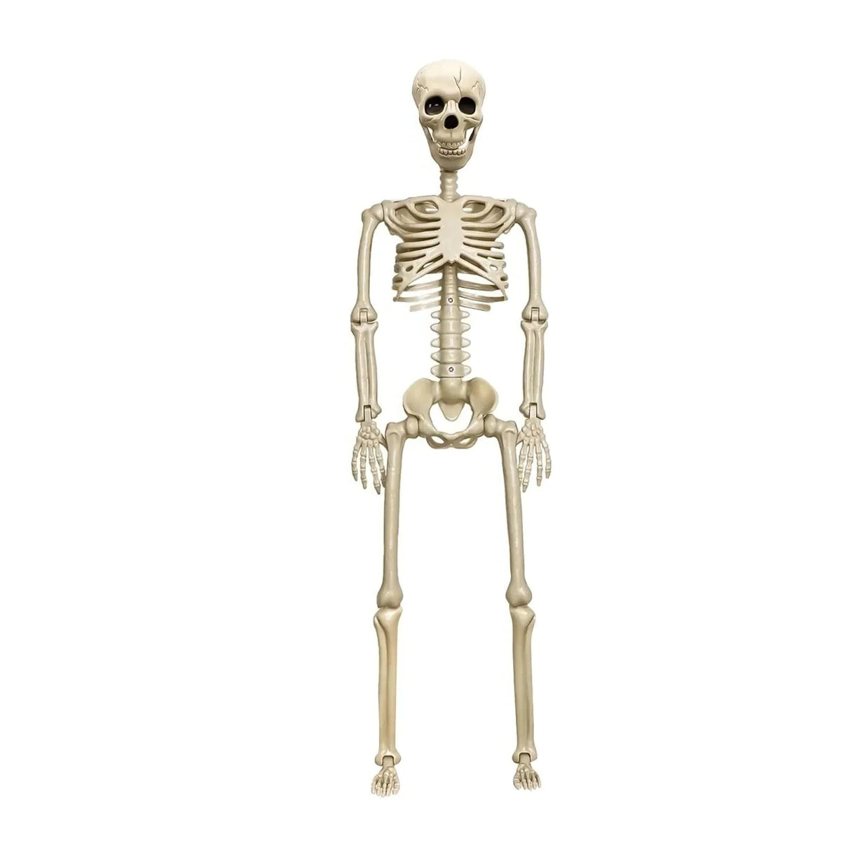 Skeleton Decoration Poseable 12 Joints & Weather-Resistant