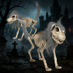 Skeleton Dog Figurine Realistic Durable Indoor & Outdoor