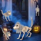 Skeleton Dog Figurine Realistic Durable Indoor & Outdoor
