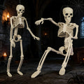 Skeleton Figure Realistic Fully Posable Articulated Joints